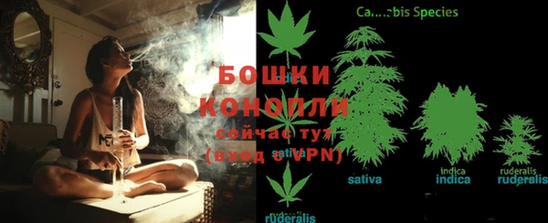 гашик Инта