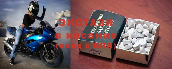 гашик Инта