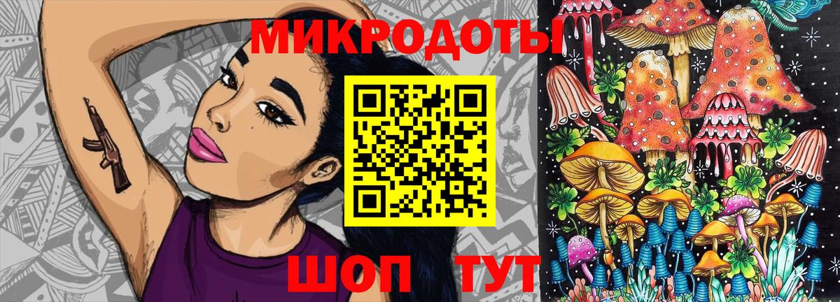 Галлюциногенные грибы Psilocybe Истра